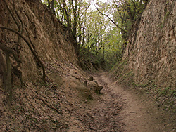 Königin Jadwiga-Schlucht