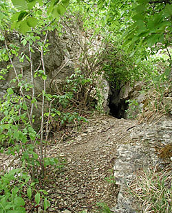 Hörselberge, Tannhäuserhöhle