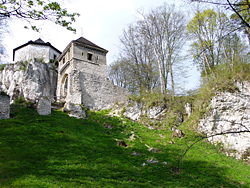 Burg Ojców 