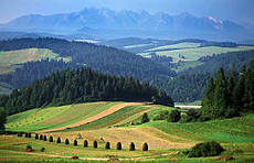Małopolskie, im Hintergrund die Tatra