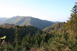 Beskid Sadecki