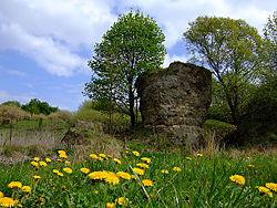 Steinstadt in Skorocice