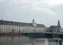 Universität